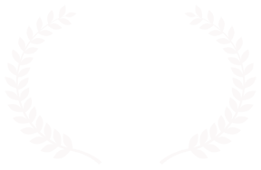 BEST STORY IN A FEATURE FILM image